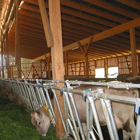Farm stay Heiterhof *