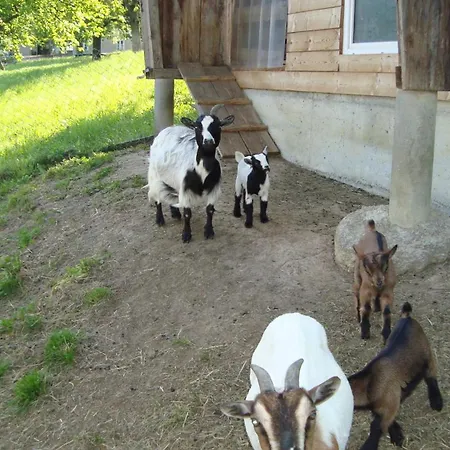 Heiterhof *