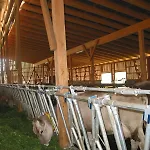 팜스테이 Heiterhof *
