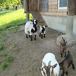 Heiterhof *